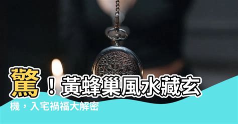 黃蜂巢風水|蜂巢入宅，如何趨吉避兇？